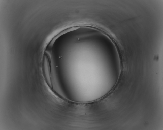 X0000089911512200707060948