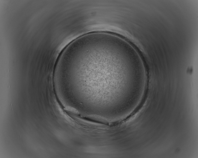 X0000089911513200707060948