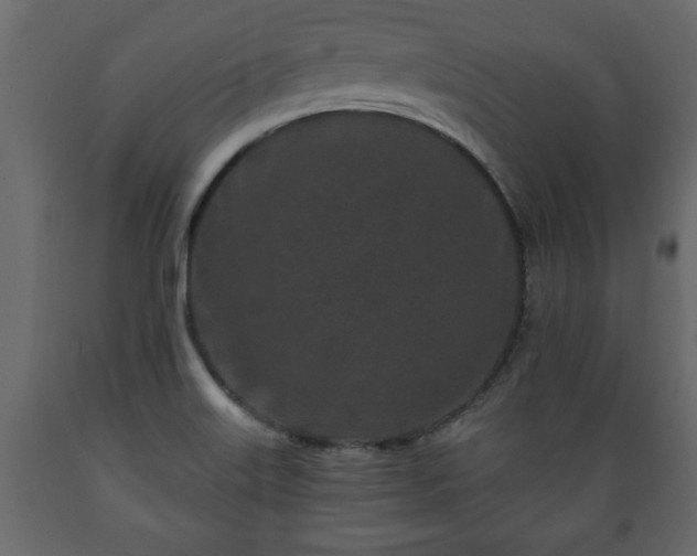 X0000089911515200707060948