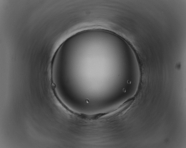 X0000089911516200707060948