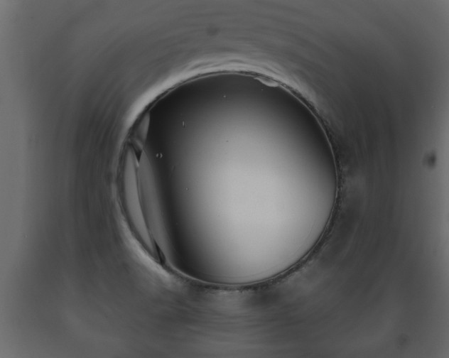 X0000089911518200707060948