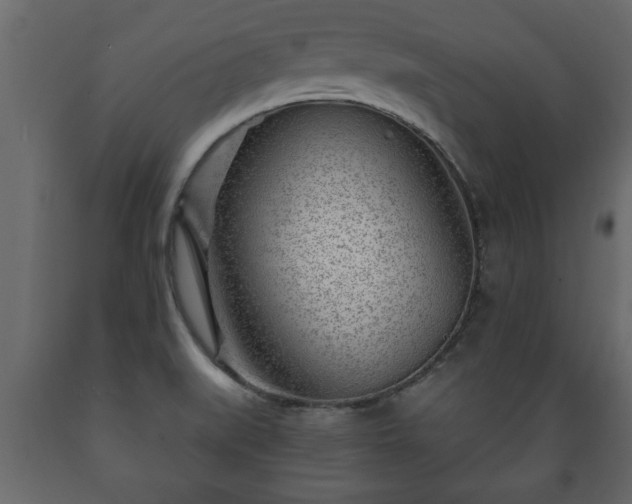X0000089911519200707060948
