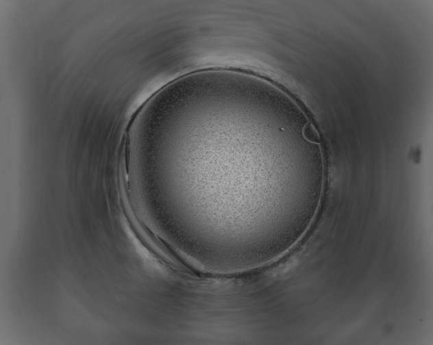 X0000089911521200707060948