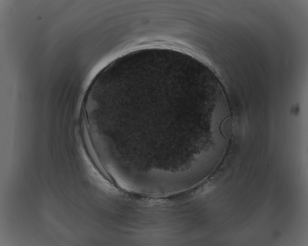 X0000089911522200707060948