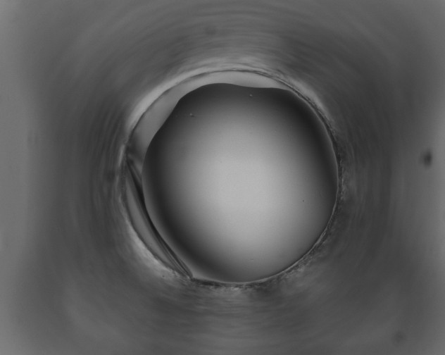 X0000089911524200707060948