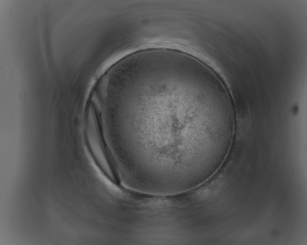 X0000089911525200707060948