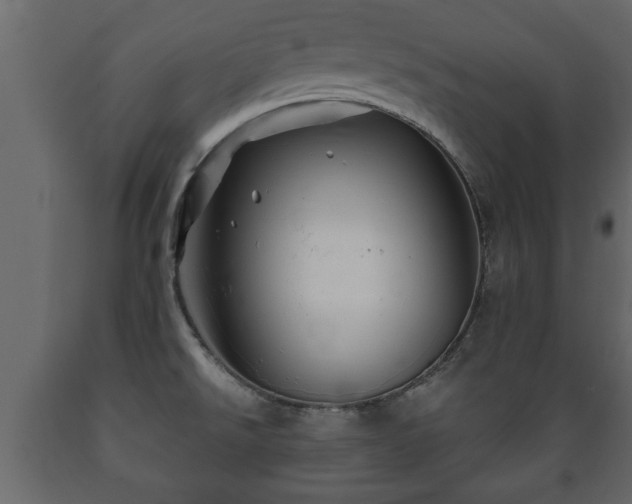 X0000089911526200707060948