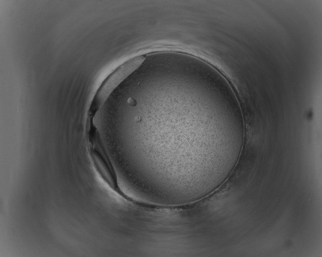 X0000089911527200707060948