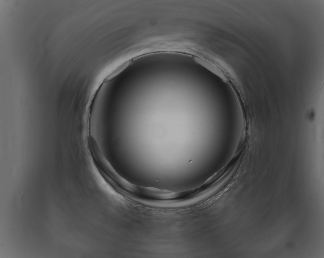X0000089911528200707060948