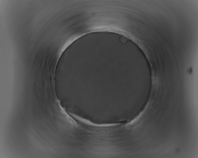 X0000089911529200707060948