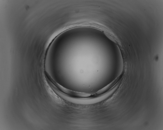 X0000089911530200707060948