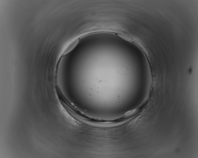 X0000089911532200707060948