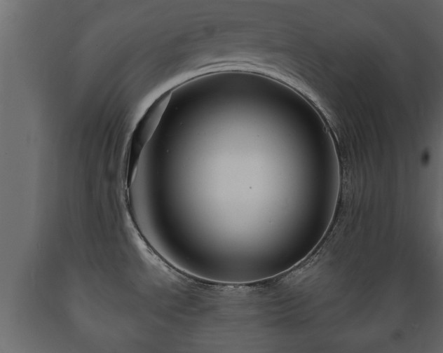 X0000089911534200707060948