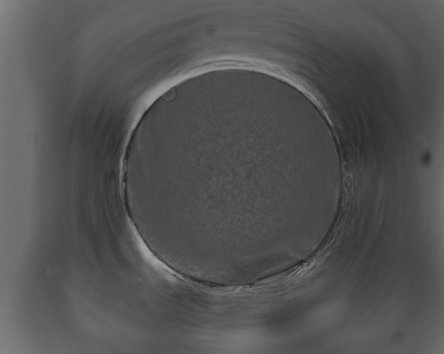 X0000089911535200707060948