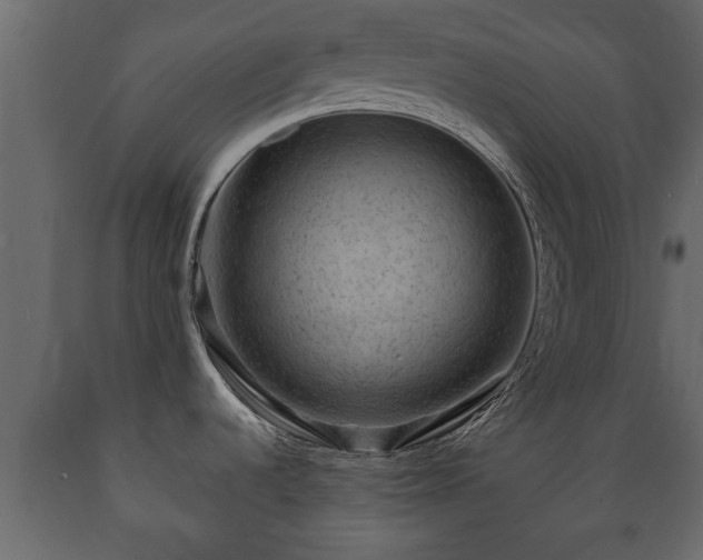 X0000089911536200707060949