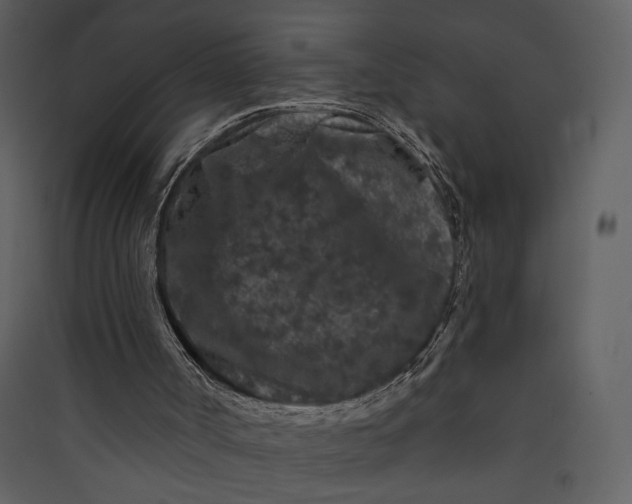 X0000089910002200707131359