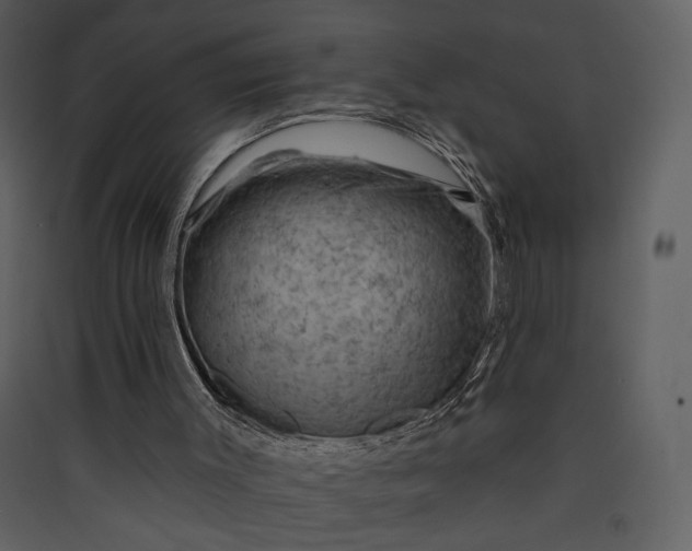 X0000089910003200707131359