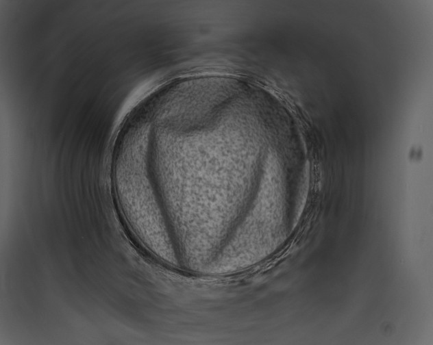 X0000089910004200707131359