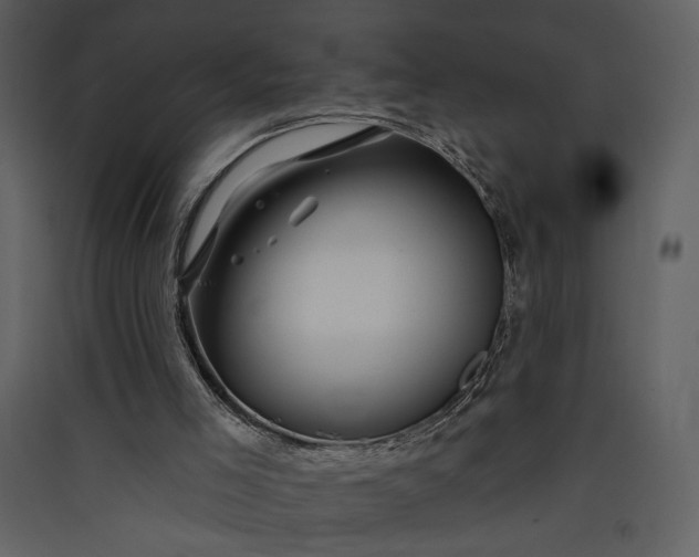 X0000089910005200707131359