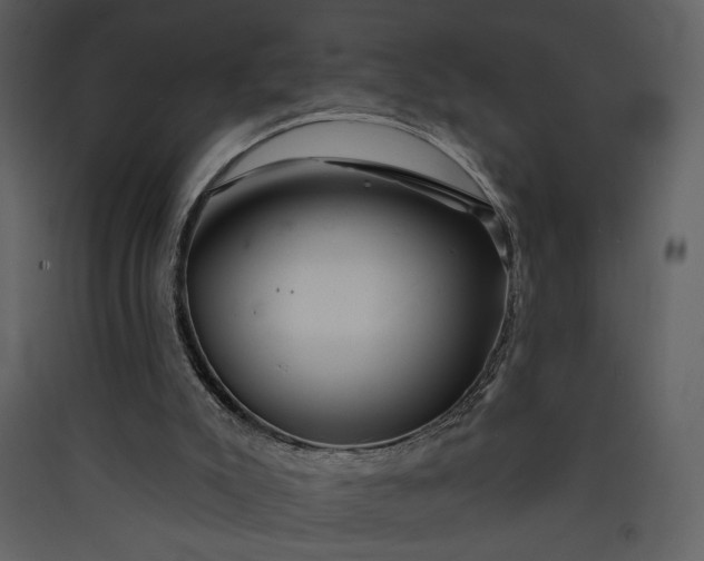 X0000089910007200707131359