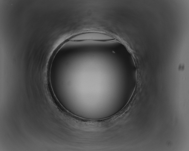 X0000089910008200707131359