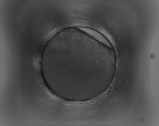 X0000089910009200707131359