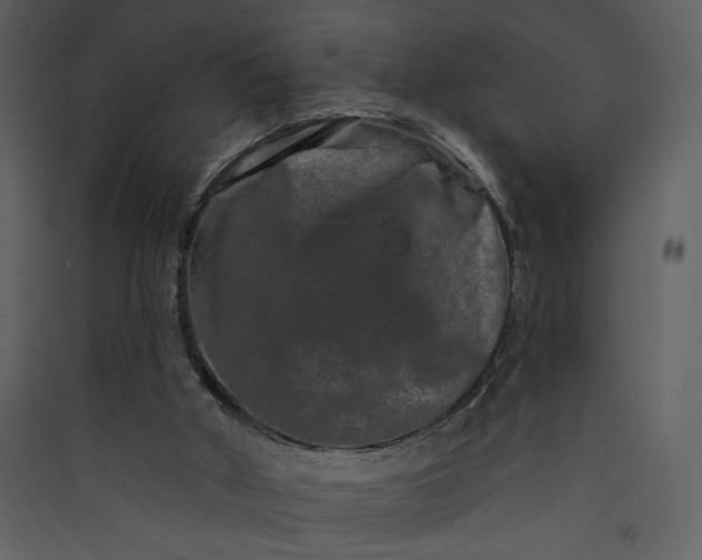 X0000089910010200707131359