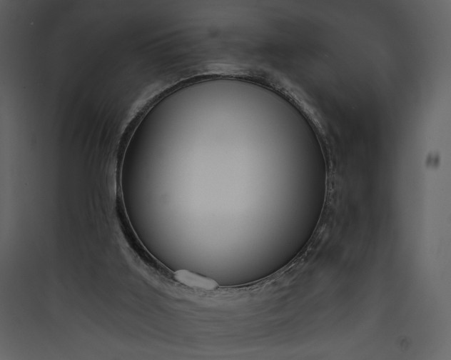 X0000089910011200707131359