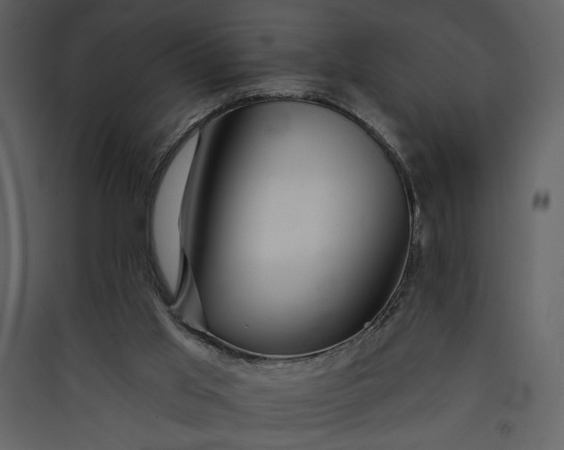 X0000089910013200707131359