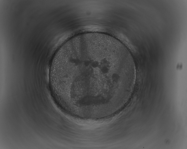 X0000089910014200707131359