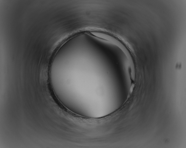 X0000089910015200707131359