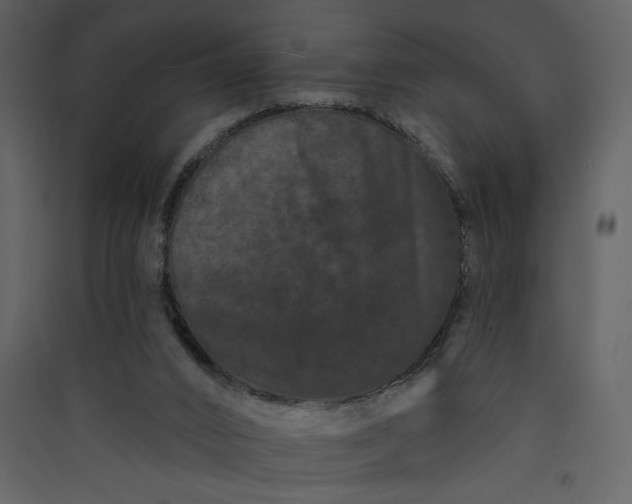 X0000089910016200707131359