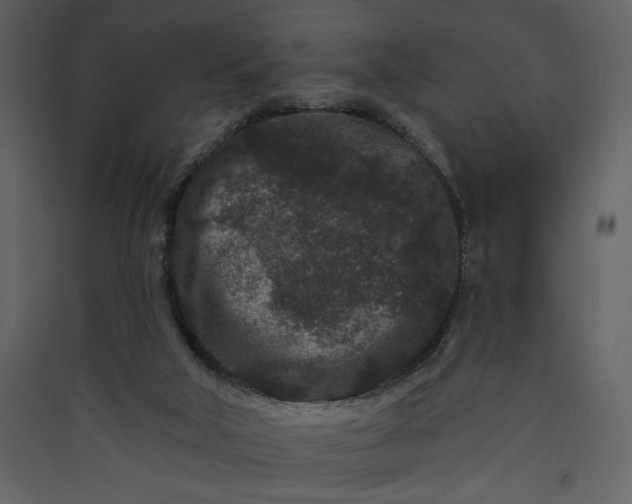 X0000089910018200707131359