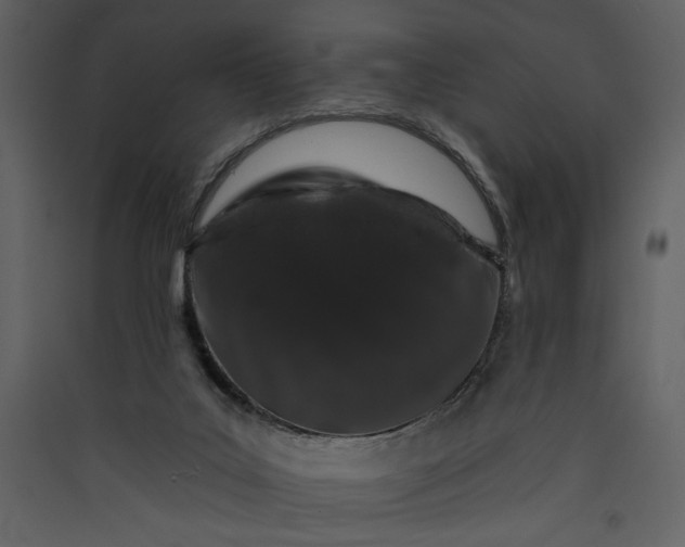 X0000089910019200707131359