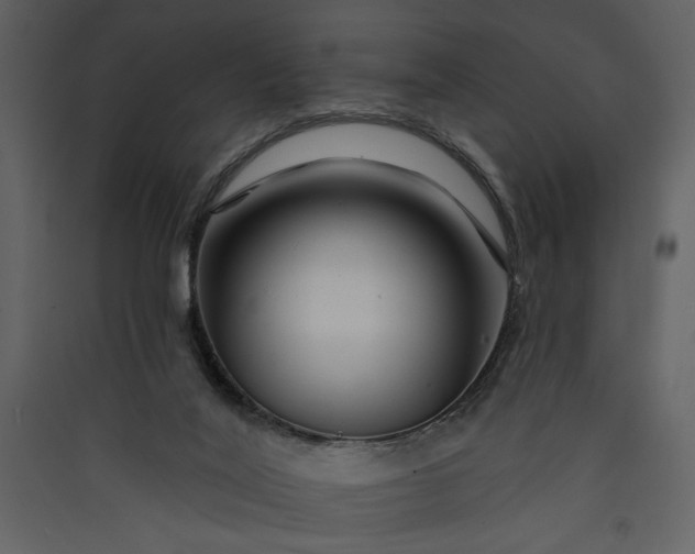 X0000089910020200707131359