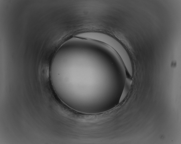 X0000089910021200707131359