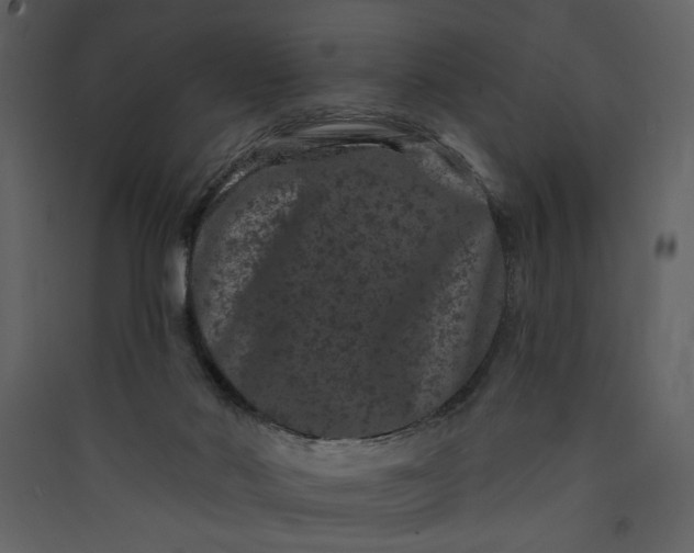 X0000089910022200707131359