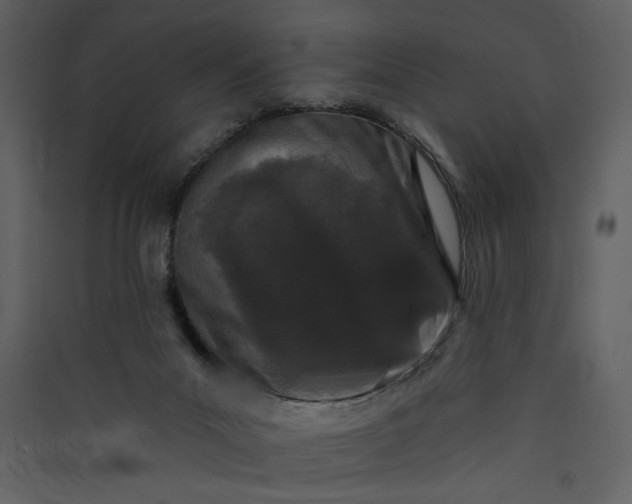 X0000089910023200707131359
