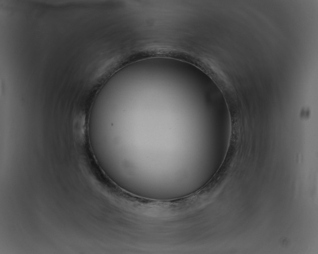 X0000089910024200707131359