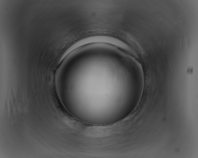 X0000089910025200707131359
