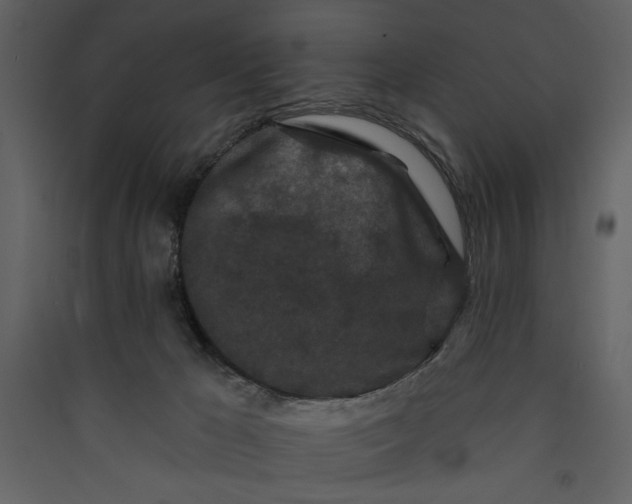 X0000089910029200707131358