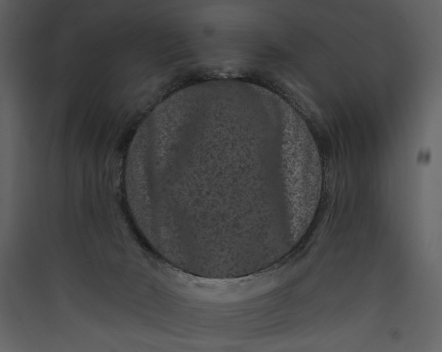 X0000089910030200707131358