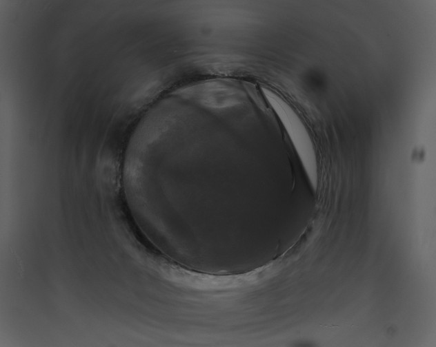 X0000089910031200707131358