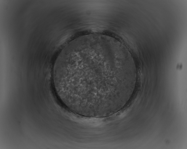 X0000089910032200707131358