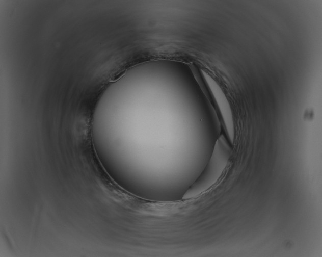 X0000089910033200707131358