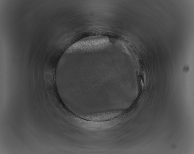 X0000089910034200707131358
