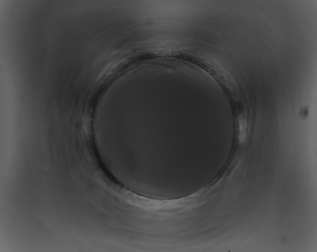 X0000089910035200707131358