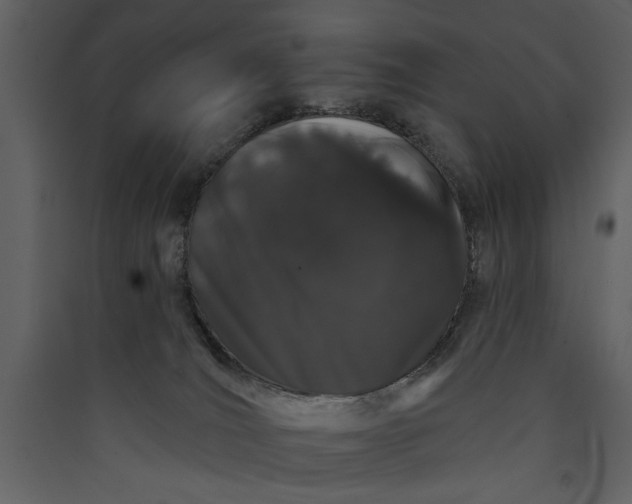 X0000089910036200707131358
