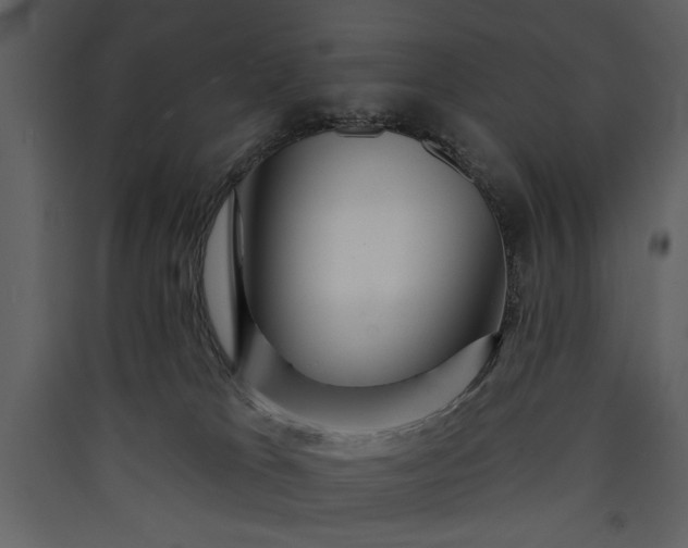 X0000089910037200707131358
