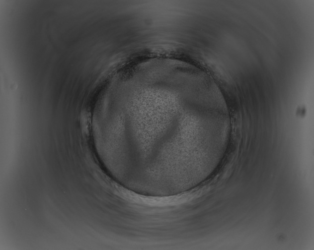 X0000089910038200707131358